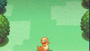 Pokemon Mega screenshot3