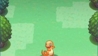 Pokemon Mega screenshot6